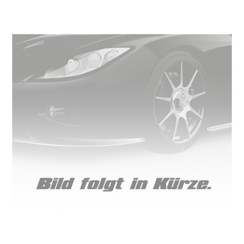 Schriftzug emblem logo vorne - schriftzug,
